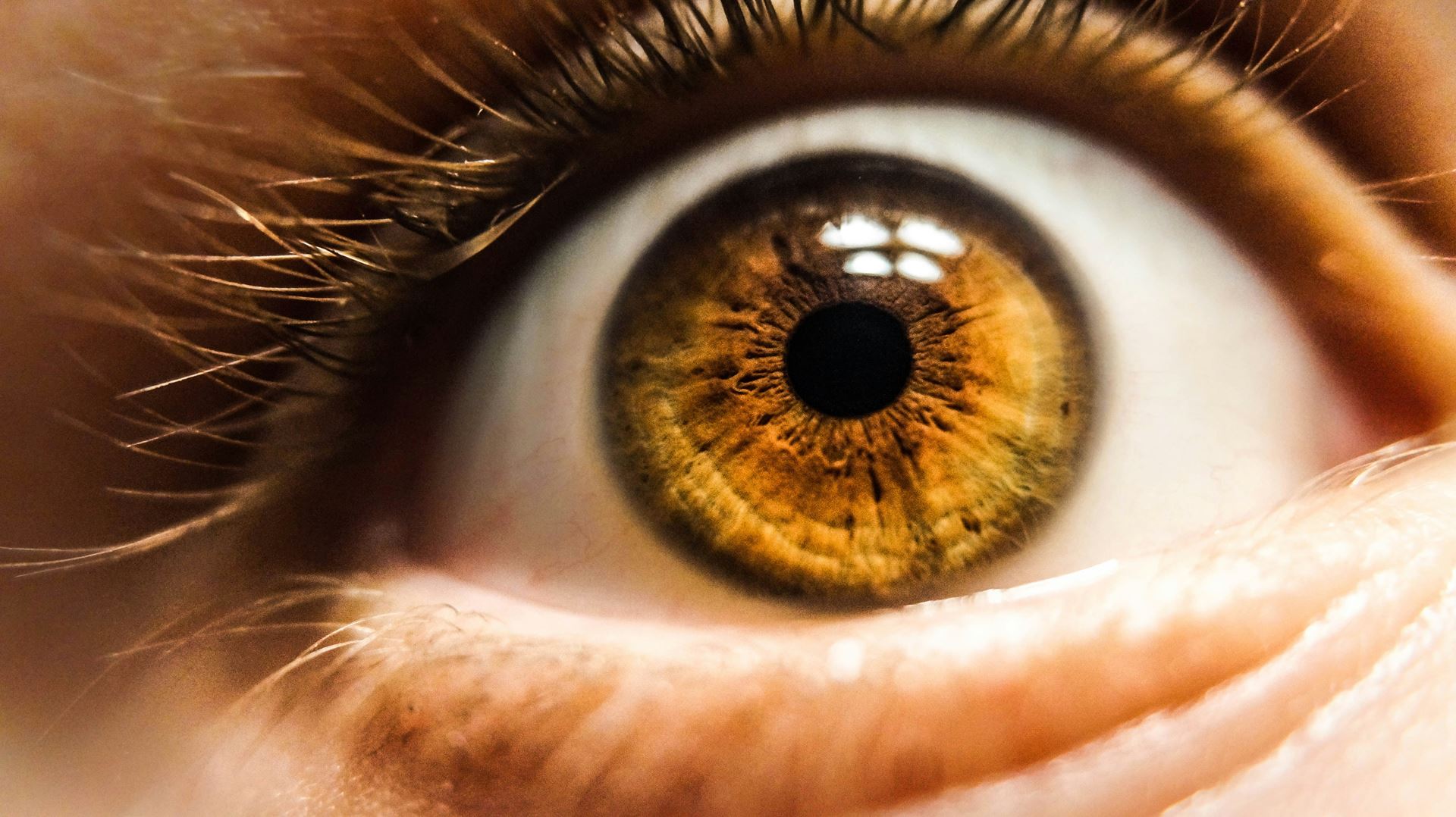 golden eye